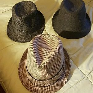 3 Fedora Hats